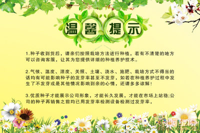 剪秋園藝廠家直銷(xiāo)蔬菜草籽 白豌豆與青豌豆，家庭陽(yáng)臺(tái)種植的理想選擇